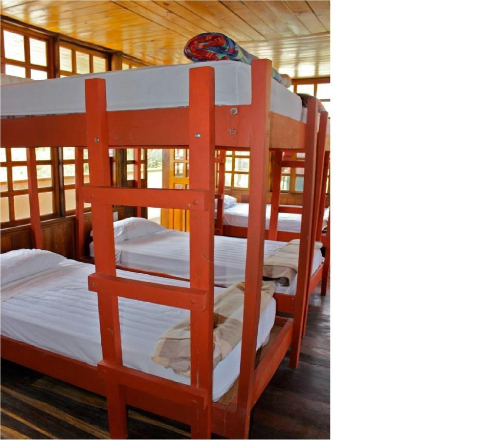 Coral Reef Surf Hostel And Camp Tamarindo Bilik gambar